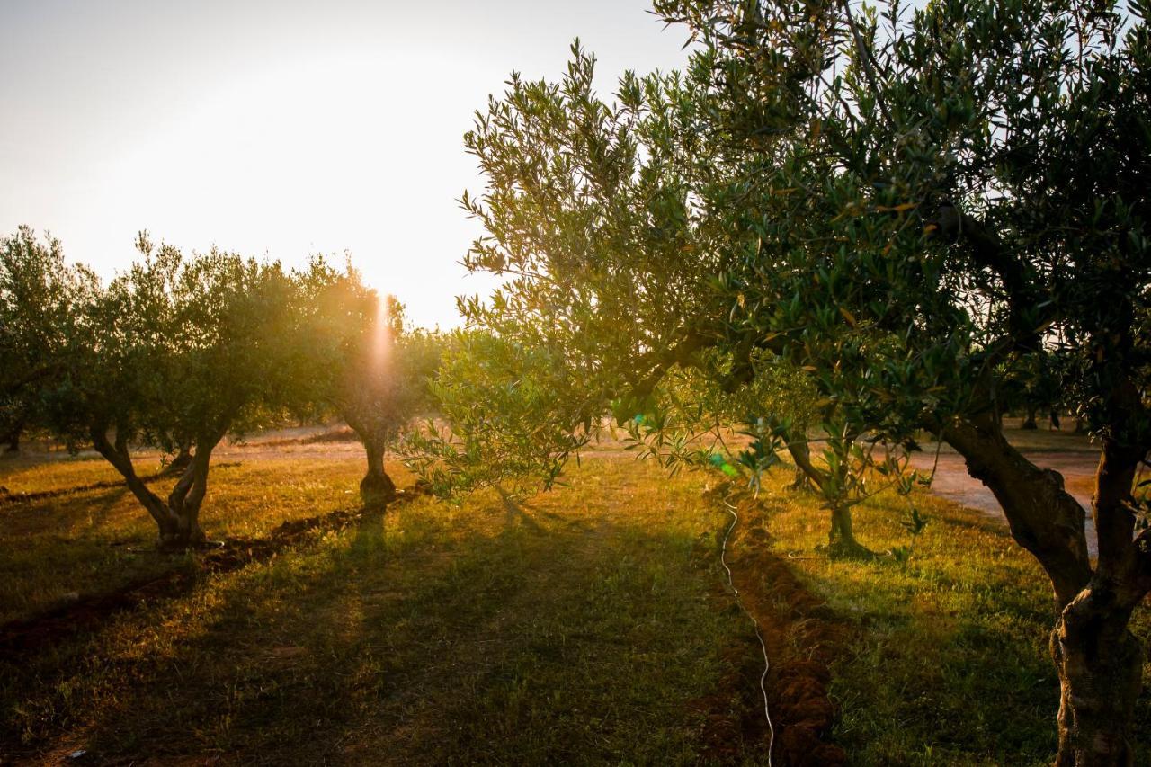 فندق Baglio Custera مارسالا المظهر الخارجي الصورة